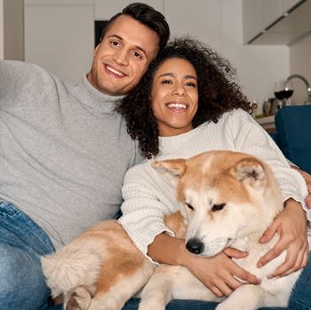 Pet-friendly